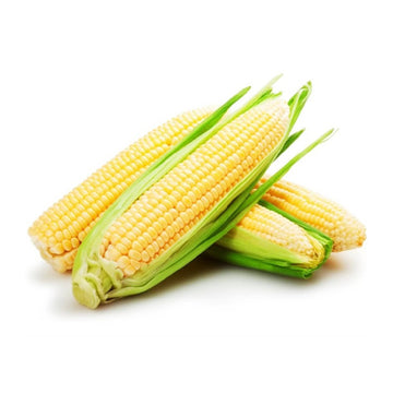 Organic American Corn