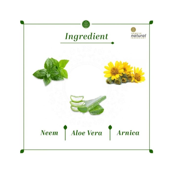 Khadi Naturals Neem & Aloevera Shampoo (SLS & Paraben Free)