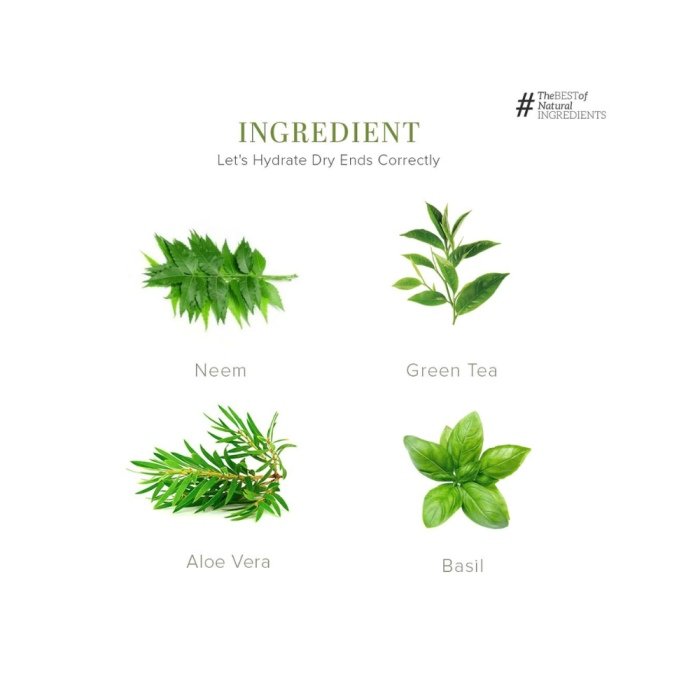 Khadi Naturals Neem Teatree & Basil Hair Oil (Paraben Free)