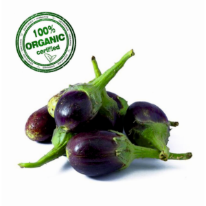 Organic Brinjal Small (Ravaiya) - Image 1