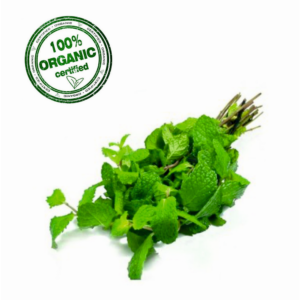 Organic Mint Leaves (Pudina) - Image 1