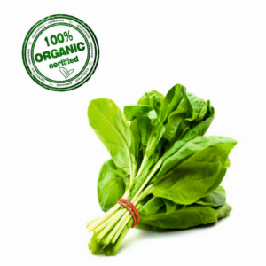 Organic Spinach (Palak) - Image 1