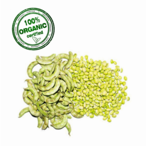 Organic Surti Beans (Surti Papli) - Image 1