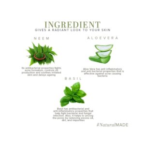 Khadi Naturals Aloe Neem & Basil Facial Massage Gel - Image 6