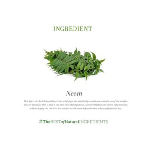 Khadi Naturals Neem Face Pack - Image 7