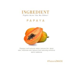 Khadi Naturals Papaya Facewash (SLS & Paraben Free) - Image 6