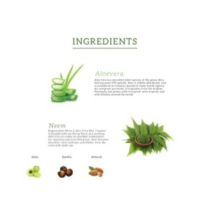 Khadi Naturals Neem & Aloevera Hair Conditioner (SLS & Paraben Free) - Image 8