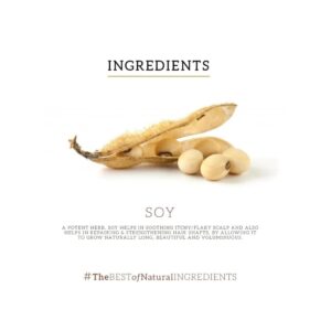 Khadi Naturals Soya Protein Hair Oil - Image 5
